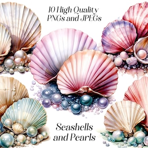 Watercolor seashells clipart, 10 high quality JPEG and PNG files, Sea Shells and Pearls, nautical ocean clip art, printable graphics