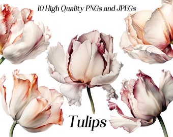 Akvarell tulpan clipart: Blommig PNG- och JPEG-grafik (digital nedladdning)