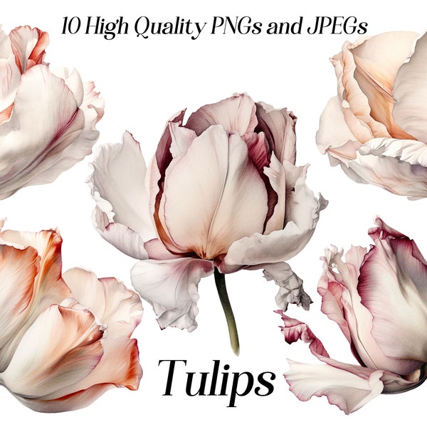 Clipart de tulipes aquarelle, 10 fichiers JPEG et PNG de haute qualité, clipart Floral, illustration de tulipe blanche, graphiques imprimables, numérique