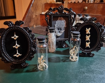 Frame and Curio set