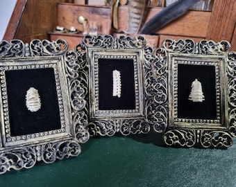 mini curio, bronze colour frame