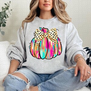 May include: A gray sweatshirt with a colorful abstract pumpkin design. The pumpkin has a gold outline and a leopard print bow.