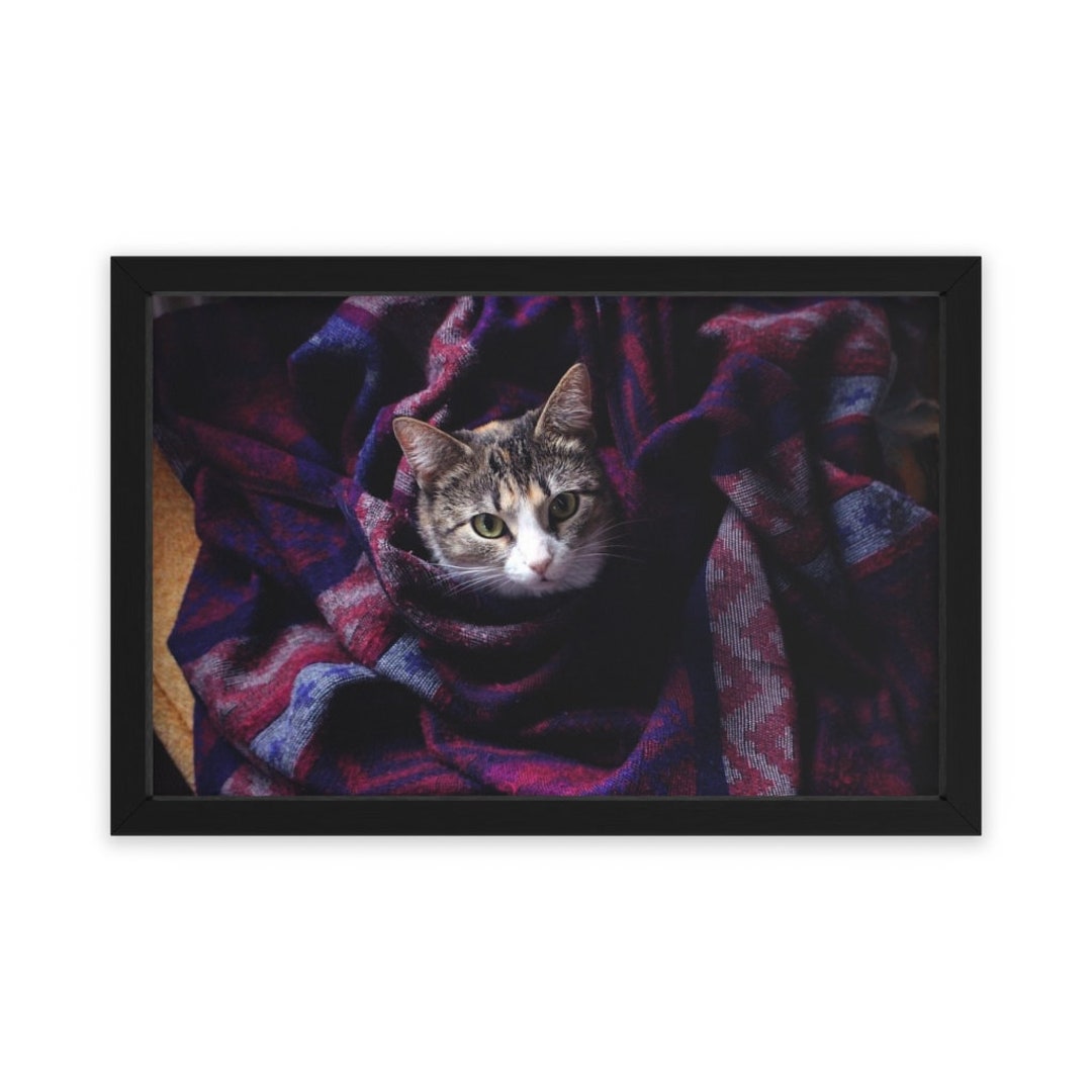 Blan-cat Cute Cat in a Blanket Printable Wall Art Poster Cat Photo