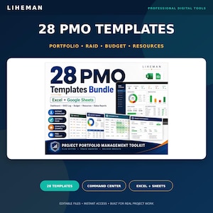 PMO Template Bundle | Excel & Google Sheets | 28 Project Portfolio Management Templates | Dashboard, RAID, Budget