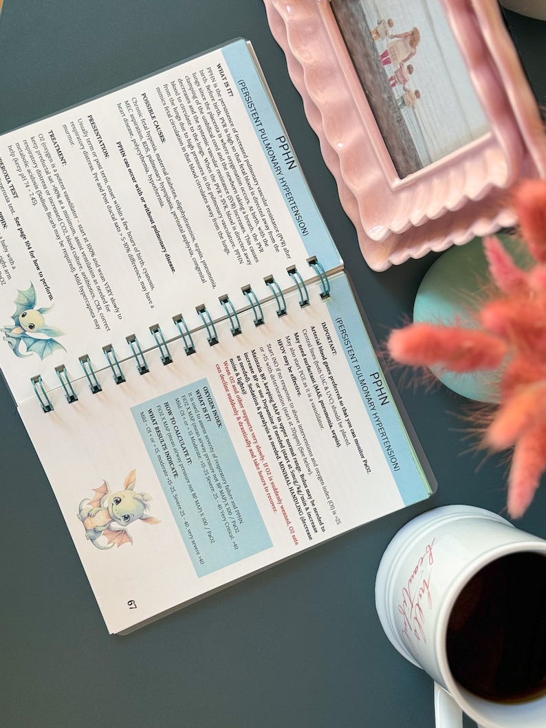 Neonatal Intensive Care NICU Resource 2026 Information Learning Book Guide RNC review, new nurse, hospitals; Infant Newborn Neonate Nursing image 5