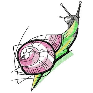 Painted Snail Machine Embroidery Design, Embroidery Snai, Embroidery Animal   4*5, 5*7, 6*8, 8*10