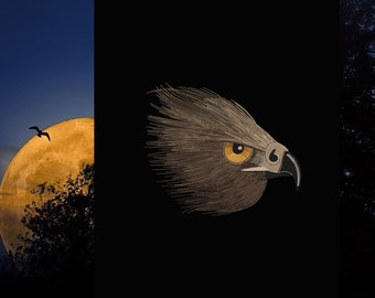 Eagle's Head Machine Embroidery designs, Eagle Embroidery, Bird design, Birds of Prey Embroidery  4*4, 5*7, 6*8