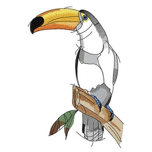 Design de bordado de máquina de tucano, design de pássaro tropical, bordado de tucano pintado 5*7, 6*8, 6*9, 8*10