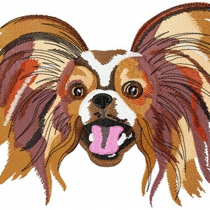 May include: A close-up of a Papillon dog's face. The dog has long, flowing ears with brown, white, and black fur. The dog is looking directly at the viewer with its tongue sticking out.