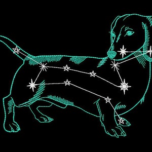 Puede incluir: Un contorno azul turquesa de un perro salchicha con estrellas blancas formando constelaciones en su cuerpo sobre un fondo negro.