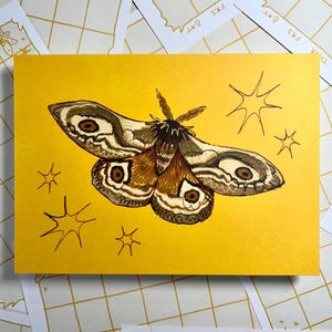 Calendrier anti-mites Impression artistique