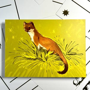 Hermelin Postkarte Kunstdruck