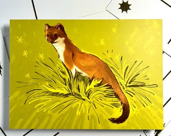 Hermelin Postkarte Kunstdruck