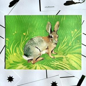 Impressão de arte de cartão postal de coelho