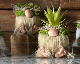 Gnomes, planters, gifts, decor, pots, succulents, gnomes with feet