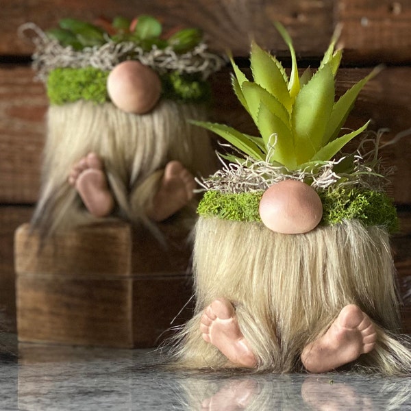 Gnomes, planters, gifts, decor, pots, succulents, gnomes with feet