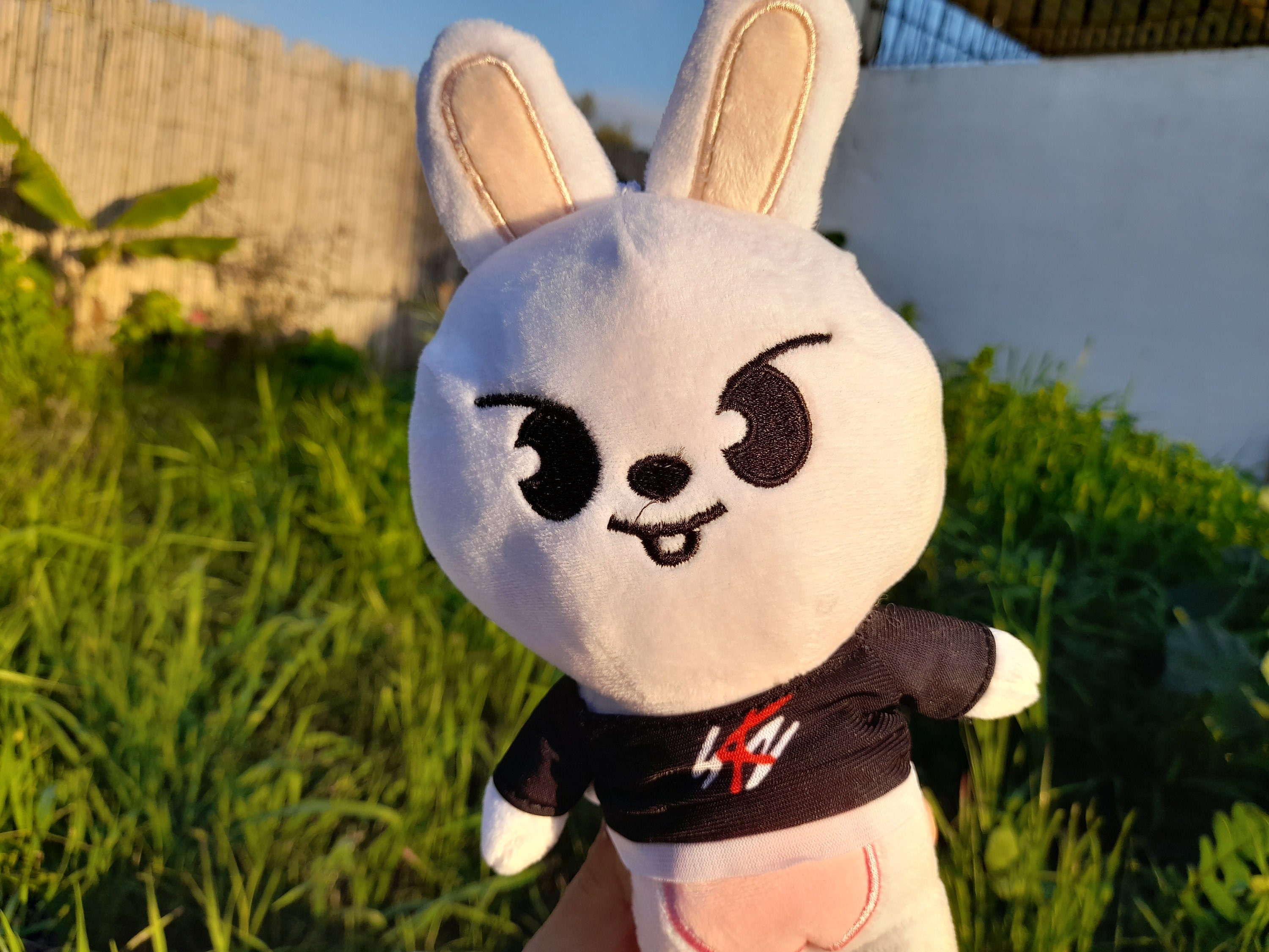 Kpop Stray Kids Stay Skzoo Karakter Peluşlarıpeluş Kpop - Etsy