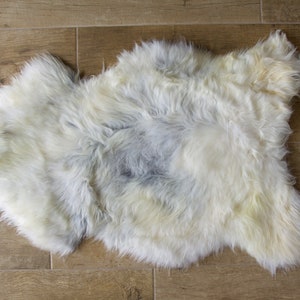 Natural Multicolor Icelandic Sheepskin SS-1-38