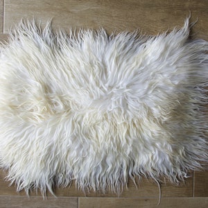Natural Curly Icelandic Sheepskin SS-1-19
