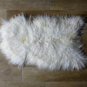 Natural Curly Icelandic Sheepskin SS-1-21