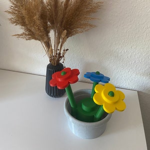 Baustein Blume mit Topf Große Backsteinblume Bild 1