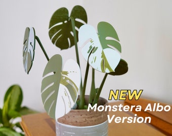 Sottobicchiere Monstera Albo - Monstera Deliciosa Variegata Sottobicchiere magnetico