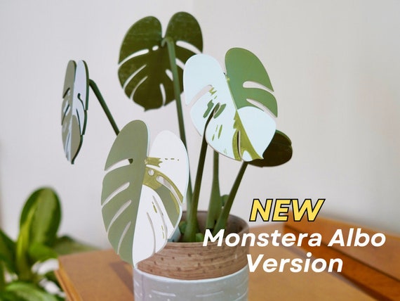 Monstera Albo Untersetzer - Monstera Deliciosa Variegata Untersetzer  magnetisch - Etsy.de