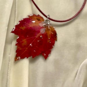 May include: A pendant necklace featuring a red and orange leaf encased in clear resin. The leaf is attached to a silver-colored bail and hangs from a thin, dark red cord. The leaf has visible veins and water droplets.