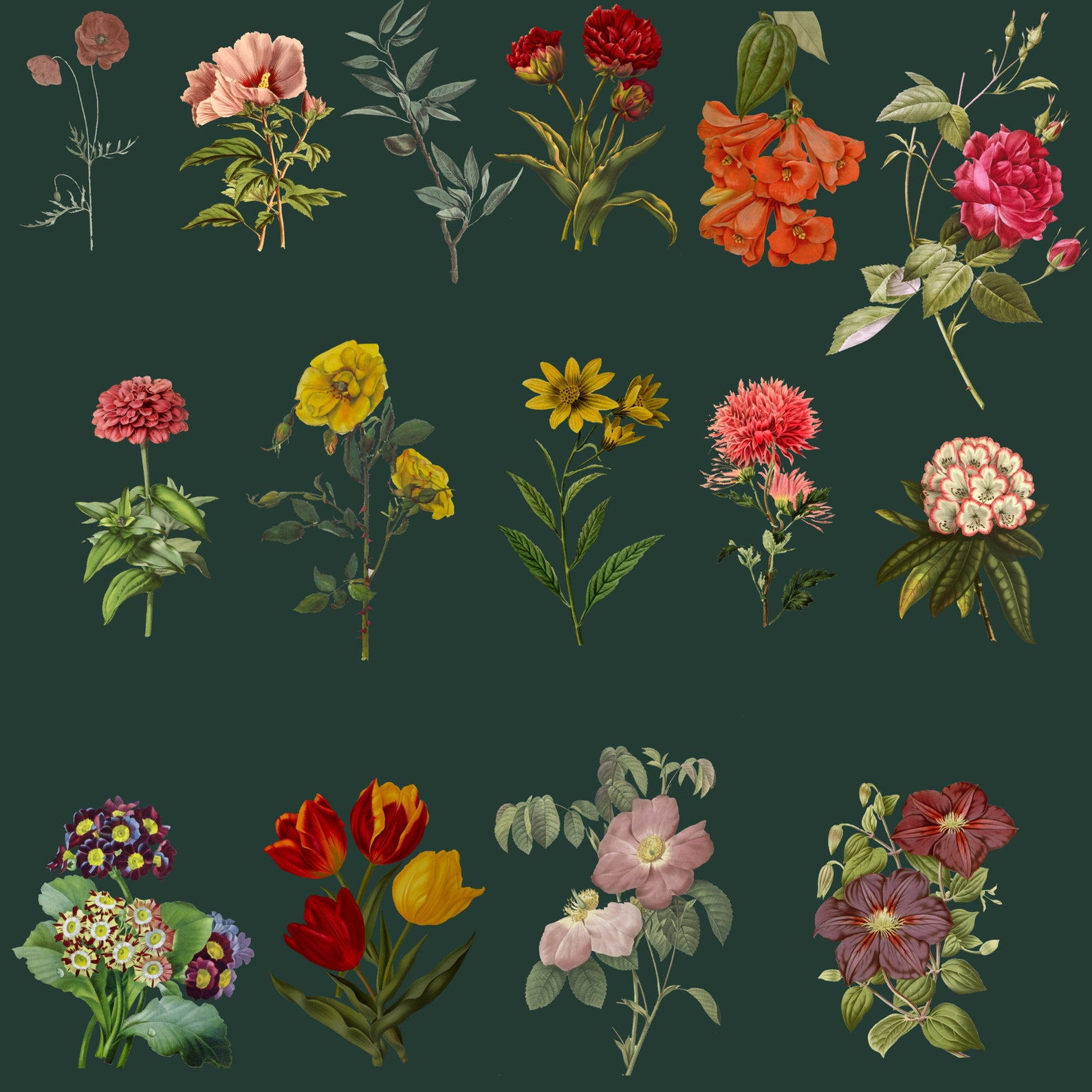80 Vintage Wildflower Bundle Big Bundle SVG File for Cricut Etsy