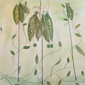 Puede incluir: Una pintura de acuarela de vainas de guisantes en enredaderas. Las vainas de guisantes son verdes y tienen un interior amarillo claro. Las enredaderas son delgadas y negras. El fondo es una lavada de acuarela verde claro.