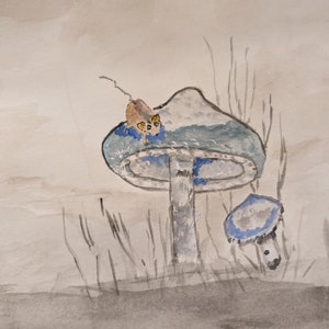 Topo nei funghi