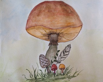 Mushrooms and Feather