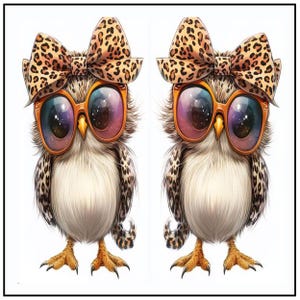 Coupon  étui lunettes Miss chouette