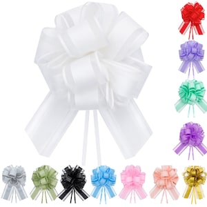 May include: A large, central white decorative pull bow made of translucent ribbon with solid edges, surrounded by a collection of smaller pull bows in various colours including red, purple, green, black, blue, pink, peach, and gold.