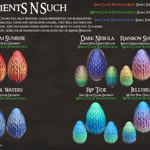 May include: A chart showing different color gradients for dragon eggs. The chart includes names for each gradient, such as "Starry Night", "Warm Sunrise", "Dark Nebula", "Rainbow Sherbet", "Rainbow Road", "Caribbean Sea", "Cool Waters", "Rip Tide", and "Jellybean". The chart also includes a description of the color transition rate for each gradient, which is either high, medium, or low.