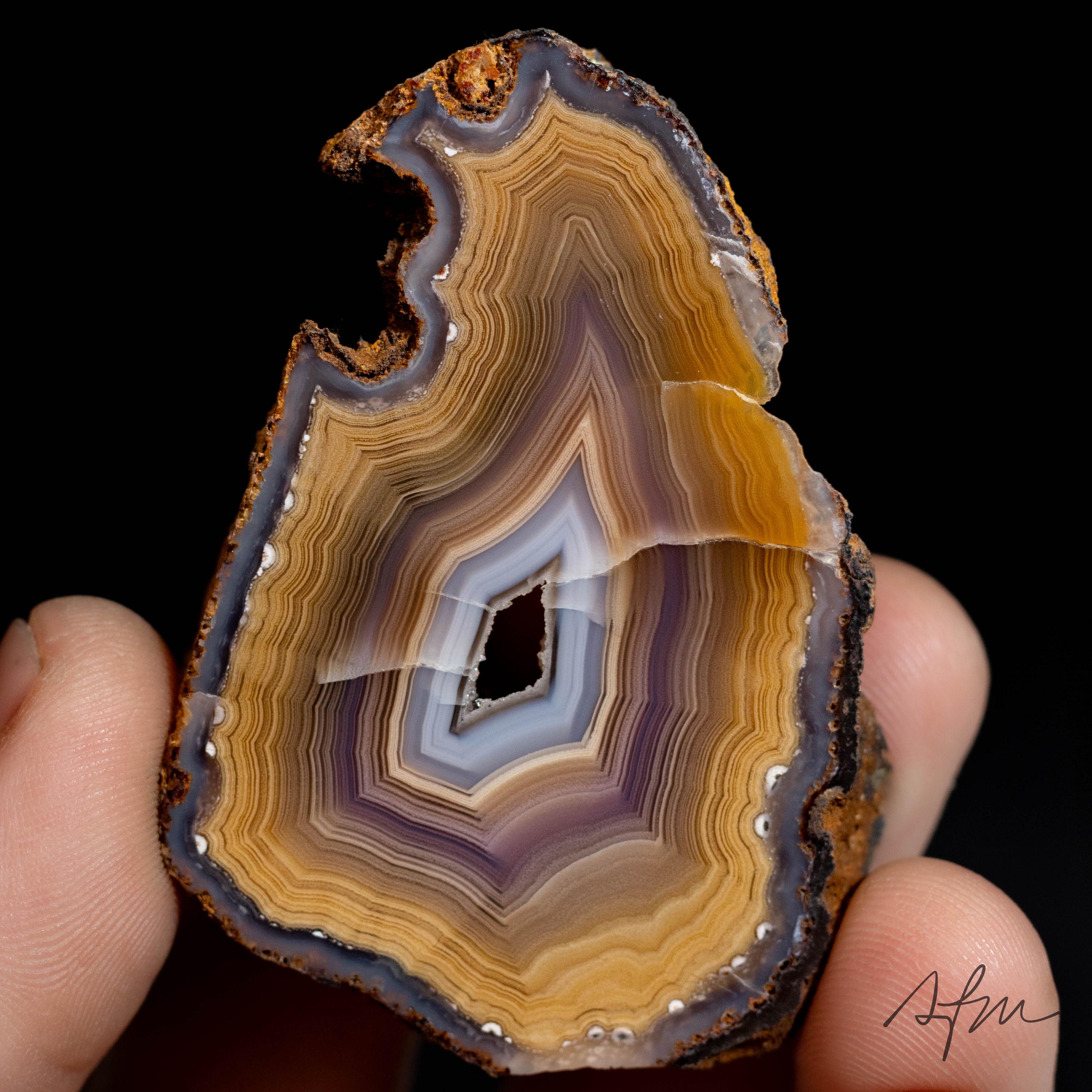 Coyamito Agate