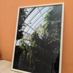 Framed picture of a greenhouse