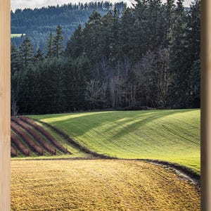May include: A scenic landscape photograph featuring a field of golden-brown grass in the foreground, transitioning to a vibrant green field. Dark green trees and a forested hillside are in the background under a cloudy sky.
