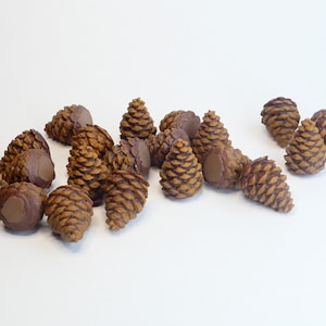 Resin Pinecones for Cascadia and Cascadia Landmarks