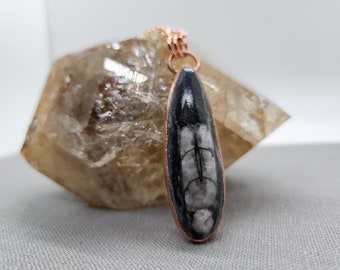 Orthoceras Fossil Necklace - Copper Electroformed