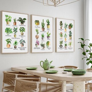 Houseplants Wall Art,Indoor Plants Poster,Digital Download,Botanical Decor,Boho Set of Three Prints,Plant Lovers Gift,Houseplants with Names
