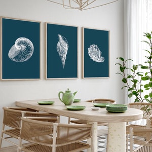 Coastal Gallery Wall Set, Seashell Wall Art, Digital Download, Beach Wall Art, Beach House Decor, Seashell Print, Printable Art, Ocean Life