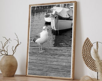 Seagull Wall Art, Coastal Wall Art, Digital Download, Black and White Print, Wooden Dock Photography, Printable Art, Coastal Poster