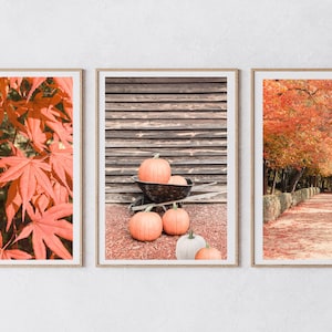 Herbst Galerie Wand Set, Herbst Set von drei Drucke, digitaler Download, Kürbis Poster, Baum Fotografie, Natur, Blätter, druckbare Kunst