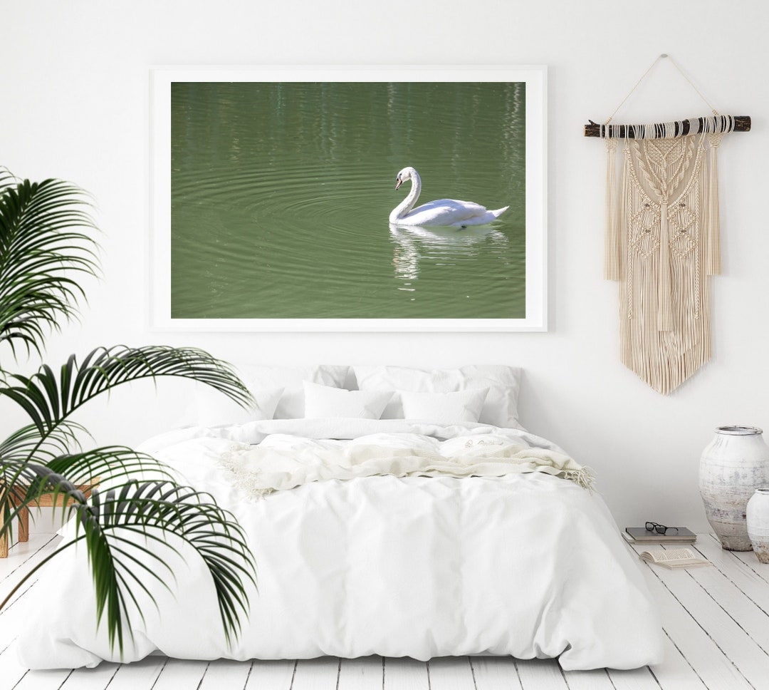 Swan Wall Art Digital Download Swan Lake Photography Lake - Etsy