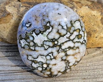 Outstanding Ocean Jasper Palmstone