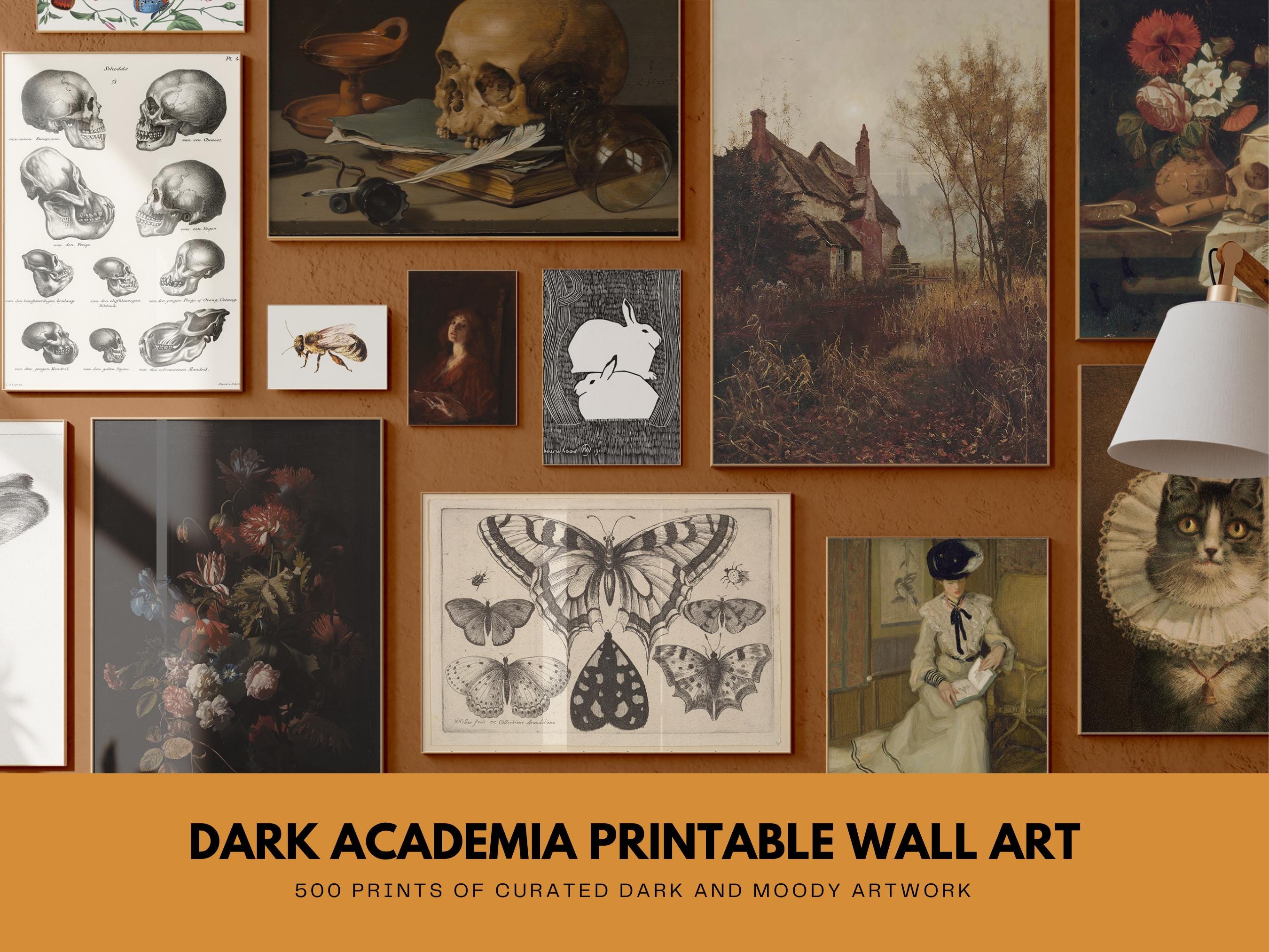 Dark Academia Gallery Wall Set of 500 Prints, Moody Wall Art, Vintage ...