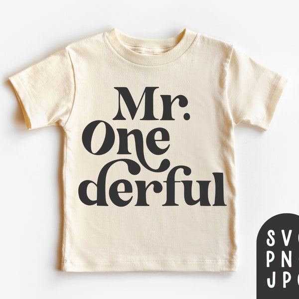 Mr One derful Svg, First Birthday Shirt Svg, Toddler Birthday Shirt Svg, 1st Birthday Shirt, Boys Birthday Shirt, Boys Birthday Svg, Party