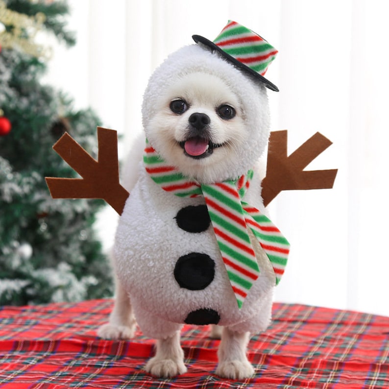 Christmas Dog Outfit