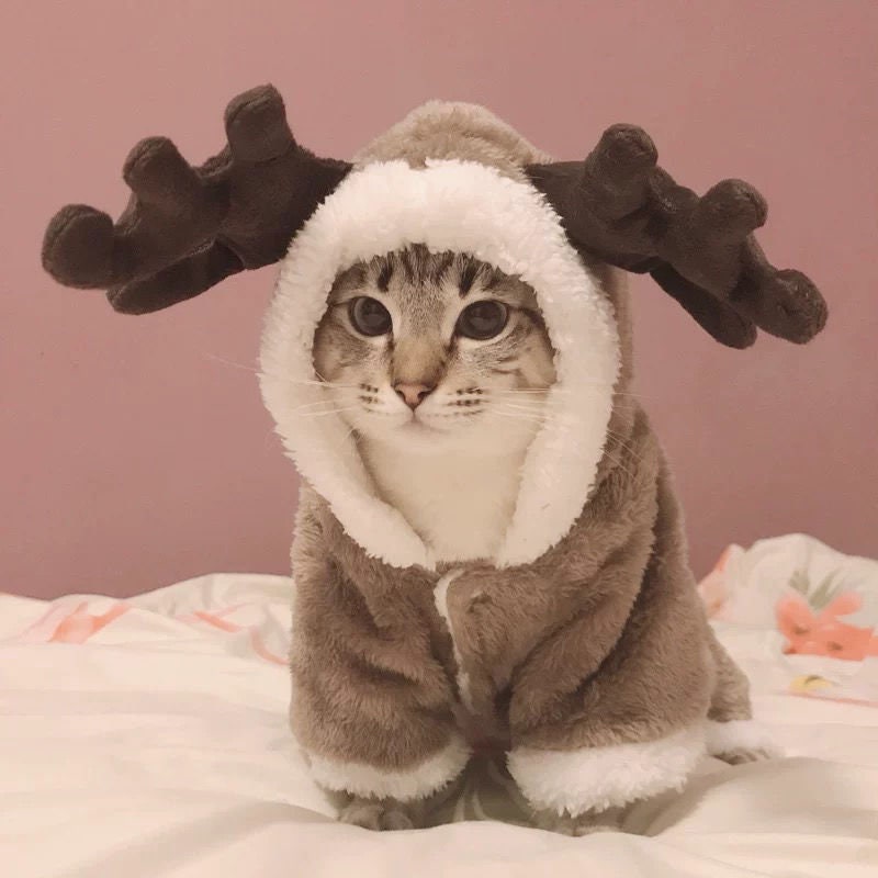 Cat Reindeer Hoodie